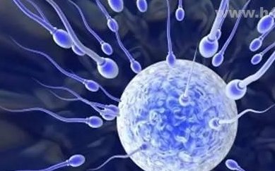 潮州可以做人工授精吗？哪家医院可以做？