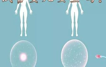 拮抗剂方案做试管可以连续促排吗？