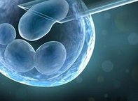 三代试管移植的都是囊胚吗 三代试管移植一个囊胚成功率