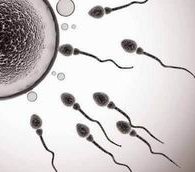 胚胎解冻生第二胎费用高低？三因素影响试管婴儿花多少