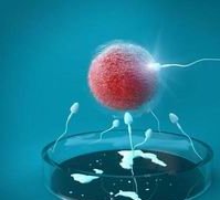 1分钟说清胚胎冷冻三个月和两个月有无区别，做试管的看