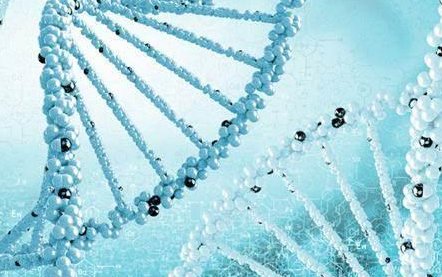 安康试管婴儿可以用医保吗？